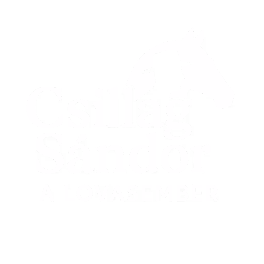 A Lovasember logója